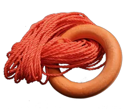 Quoit c/w Throwing Line