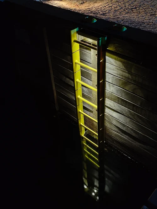 LifeLadder Thor Ladder with LightUnit - Image 2